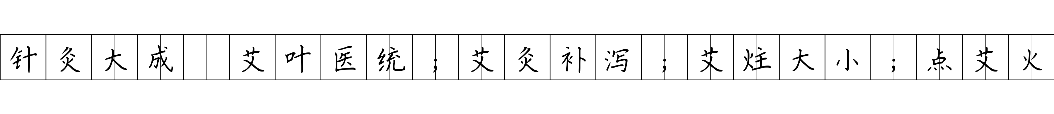 针灸大成 艾叶医统；艾灸补泻；艾炷大小；点艾火